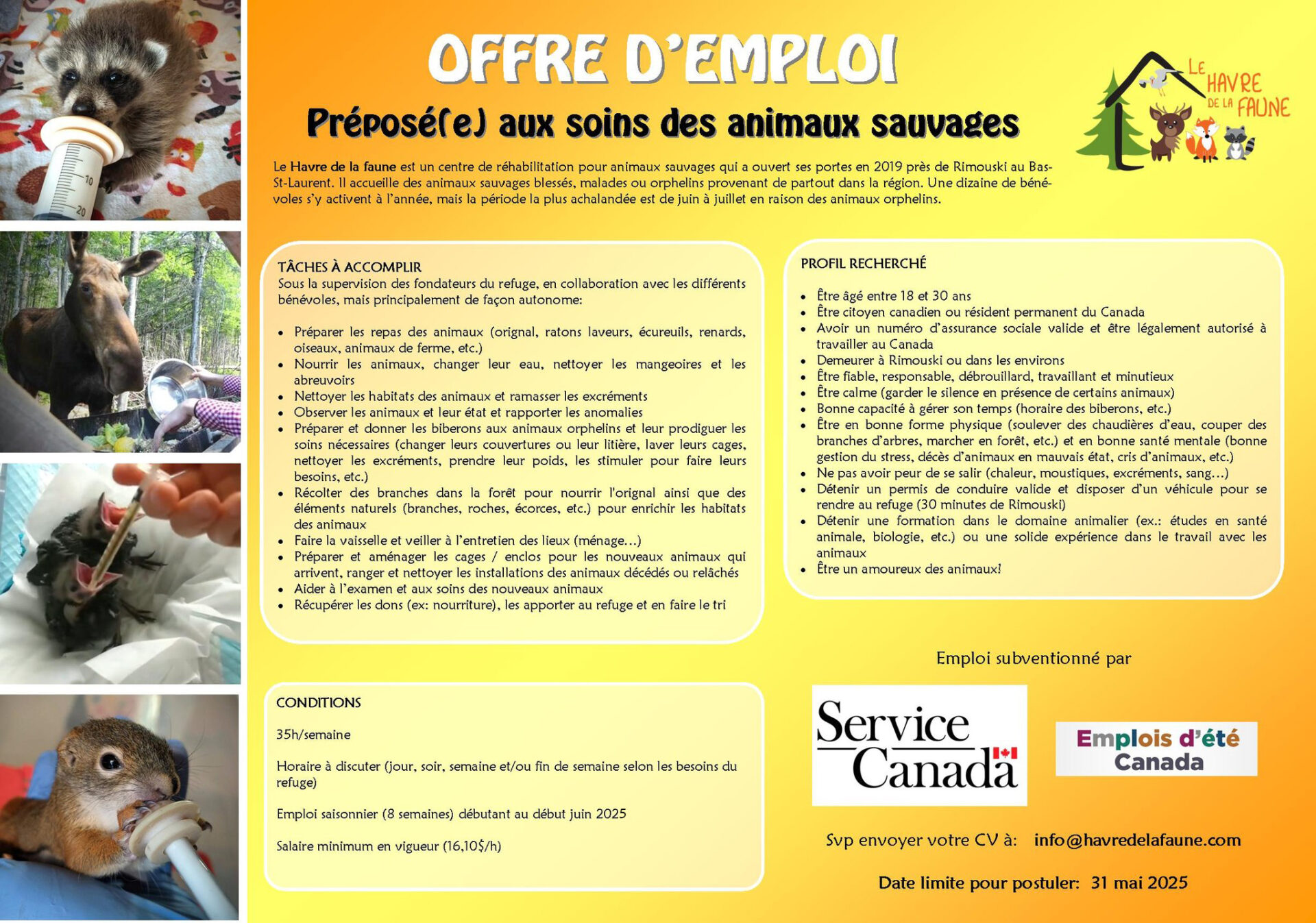 Annonce offre demploi