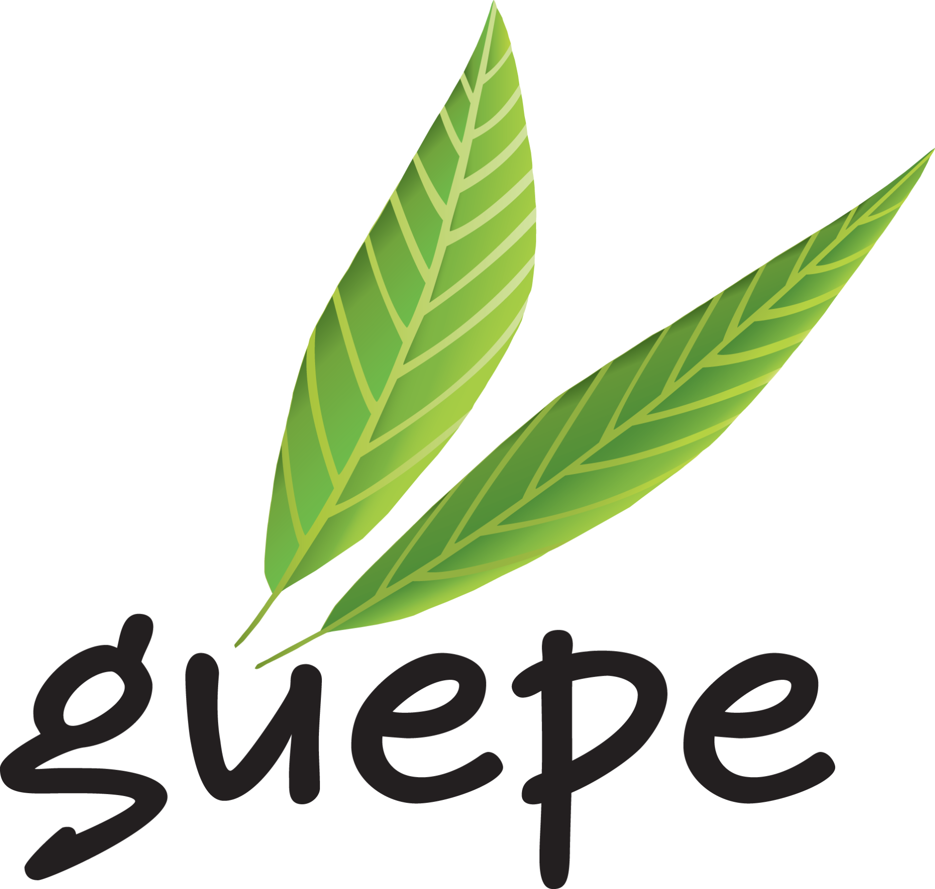 Logo GUEPE couleur lettragenoir