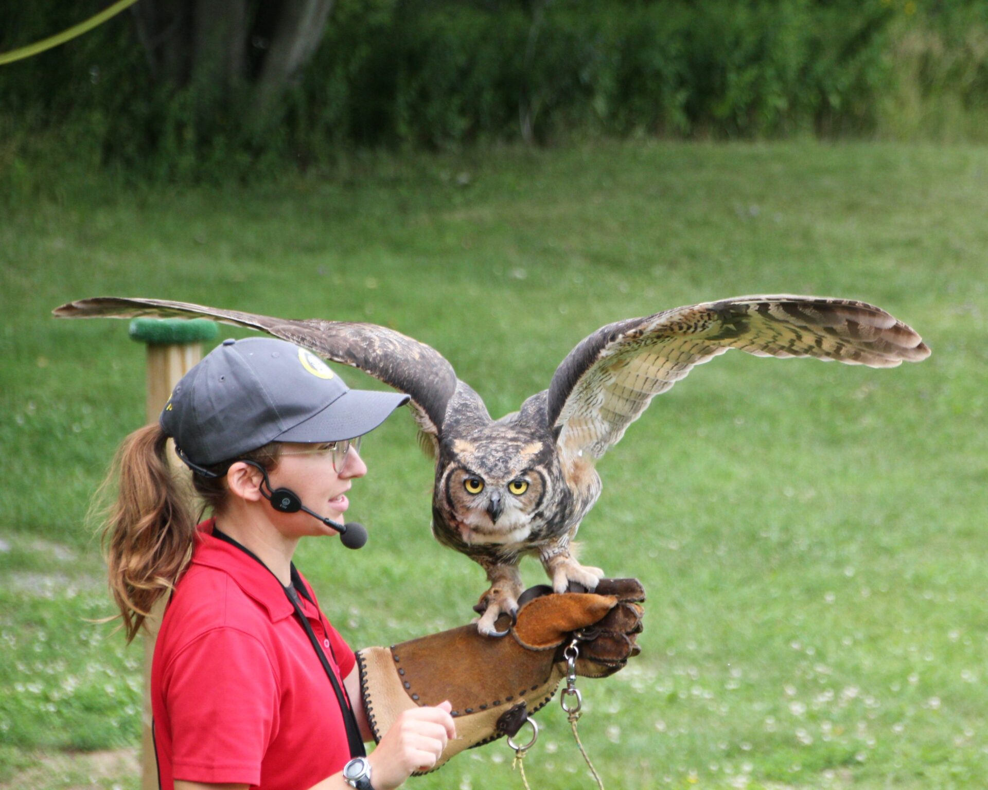 Grand duc chantal brien scaled