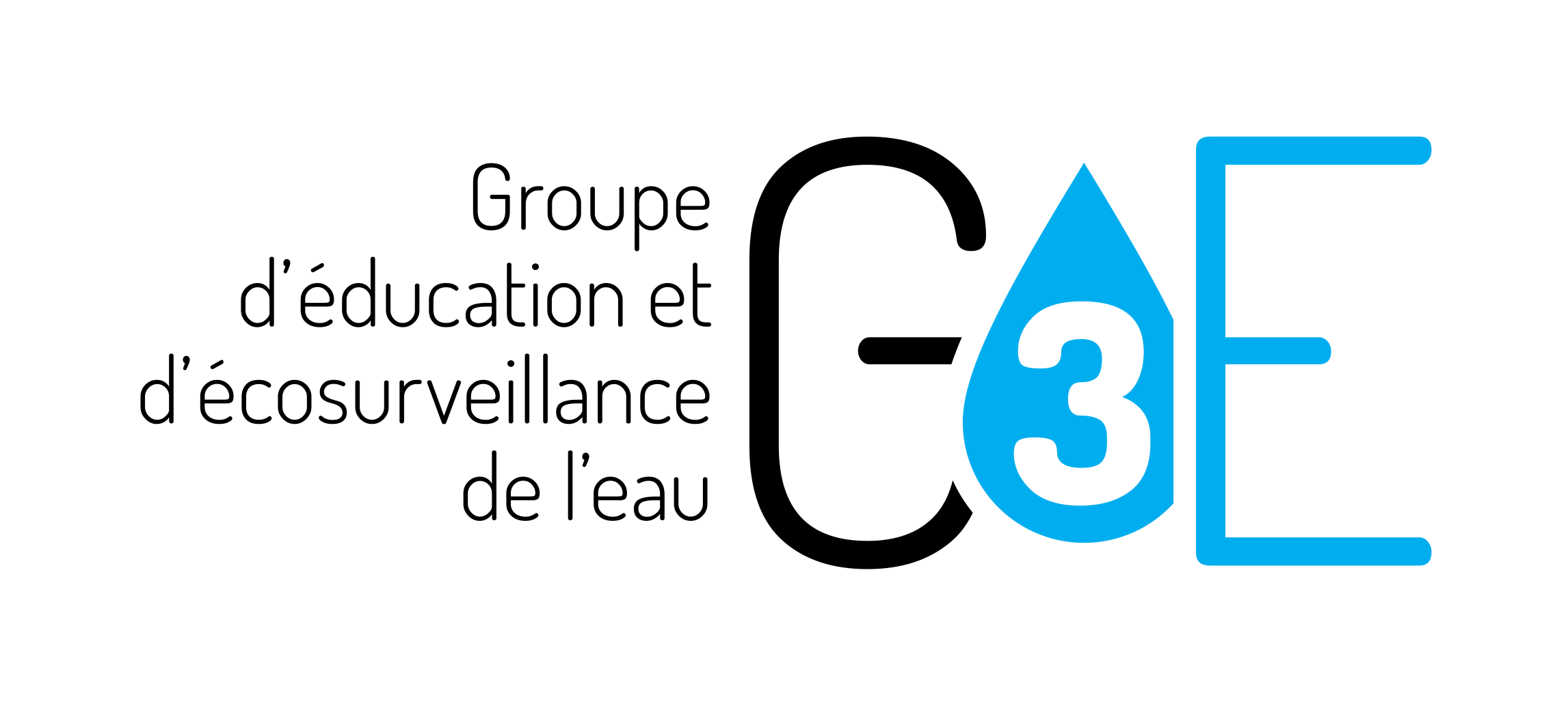 Logo G3E Couleur