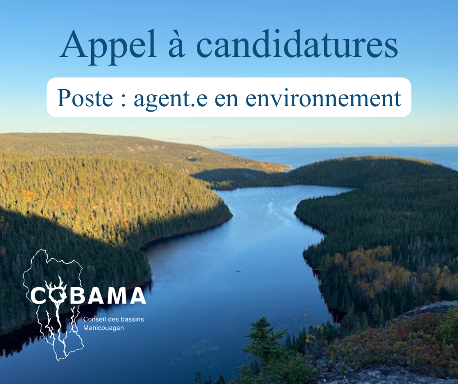 Visuel appel candidature