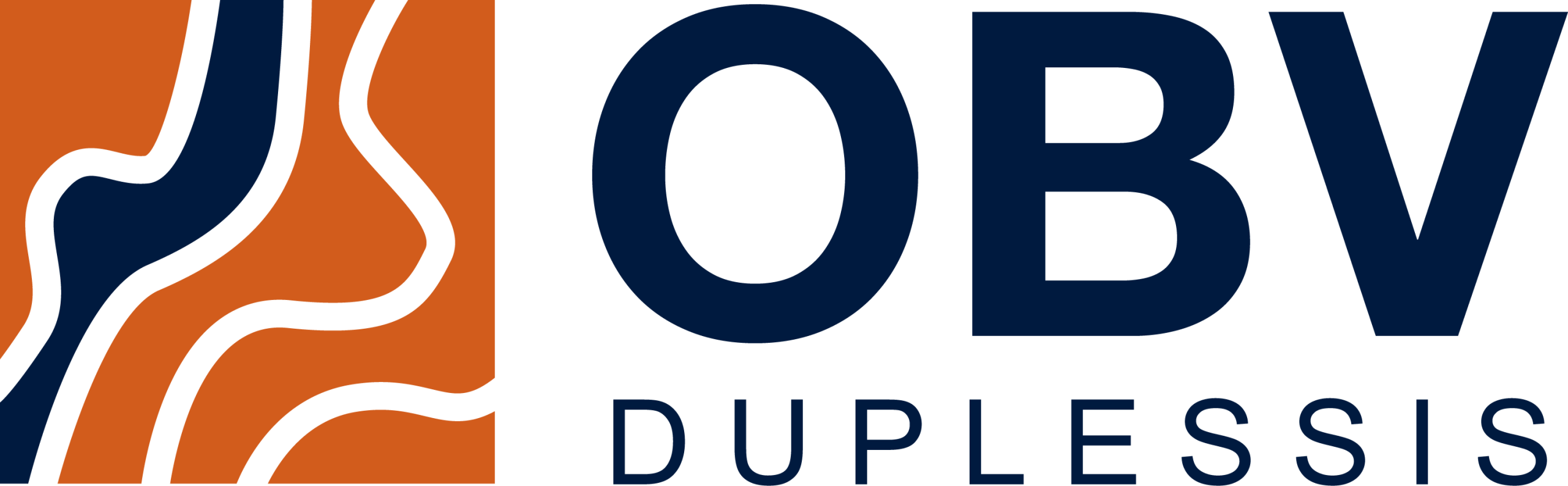 OBVD LOGO couleur